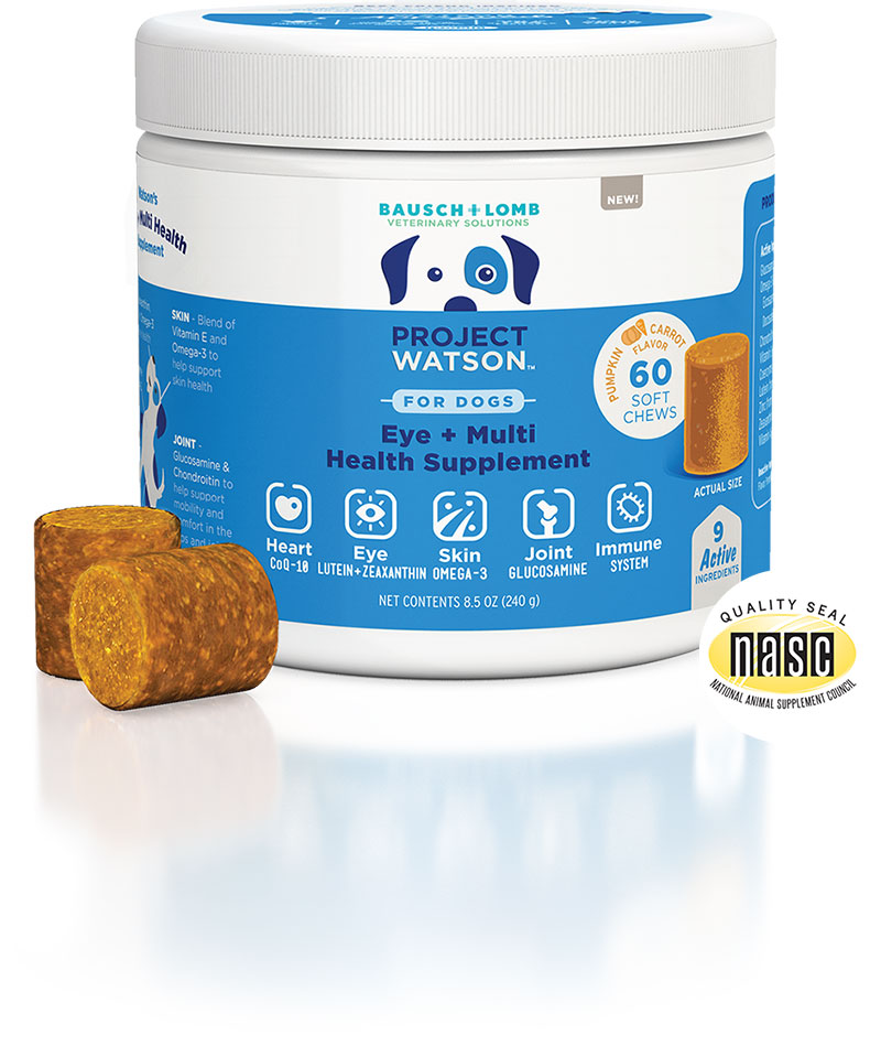 Eye Wash for Dogs by Project Watson, Fragrance Free, 4 Fl Oz
